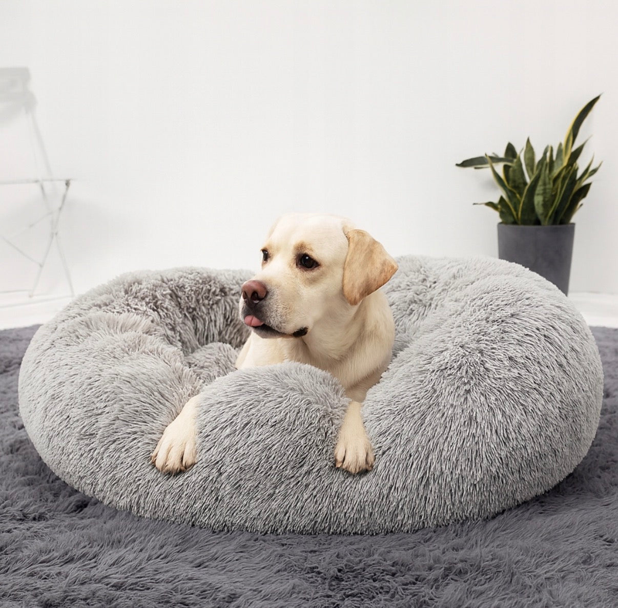 DogRidePro™ Calming Plush Dog Bed