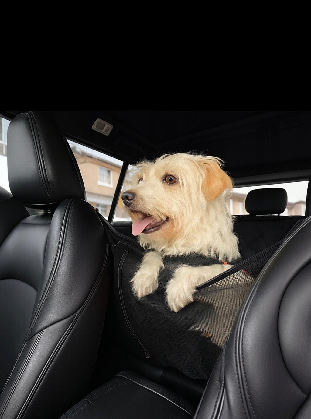 DogRidePro™ Waterproof Car Seat Cover